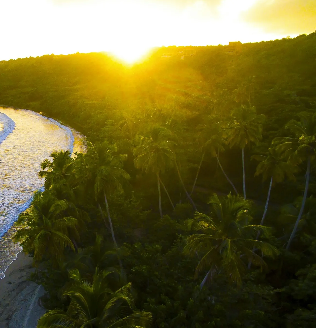 Morning sun above the palm-covered headland and quiet bay of La Sagesse on Grenada's south coast